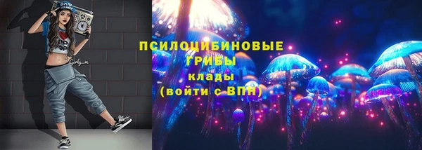 соль ск Володарск