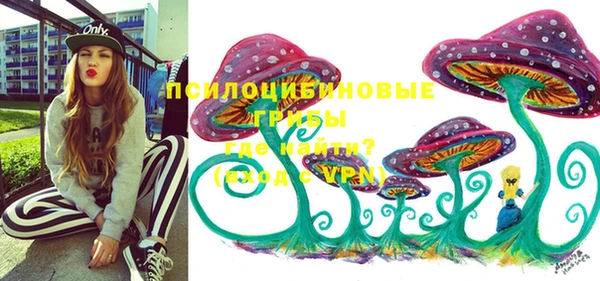 дживик Волоколамск