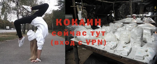 дживик Волоколамск