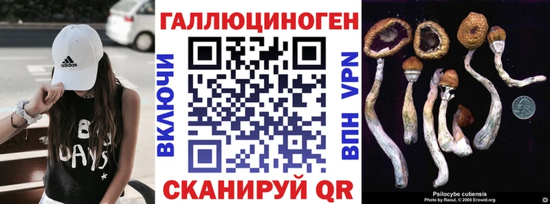 Купить закладки  Лянтор  Псилоцибиновые грибы Psilocybe 